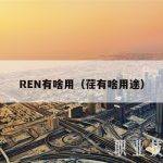 REN有啥用（荏有啥用途）