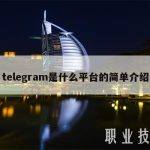 telegram是什么平台的简单介绍