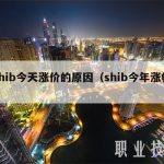 shib今天涨价的原因（shib今年涨幅）