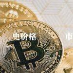 维卡币历史价格