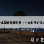 中本聪币最新价格（中本聪币的价格）