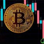 雷达币今天最新消息疯子哥(雷达币今日最新消息)