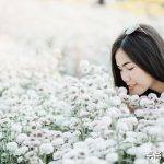 凌波仙子是什么花（凌波仙子是哪种花的别称）