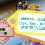 母鸡的英语怎么读（鸭子的英语怎么读）