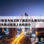 fil刚涨为啥又跌了最近什么情况fil连着大跌还能涨上去吗简介