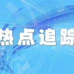网排2013（网排206）