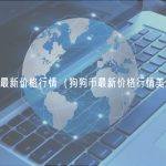 狗狗币最新价格行情（狗狗币最新价格行情美元新浪）