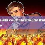 元宇宙项目YouCoin宣布已部署至BNBChain