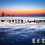 ALGO币前景怎么样（algo币还有救吗）
