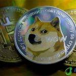 质数币(质数币官网)