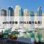 pols币价格（POLS是什么币）