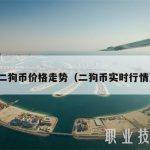 二狗币价格走势（二狗币实时行情）