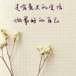 毒鸡汤是什么意思（毒鸡汤是什么意思网络用语）