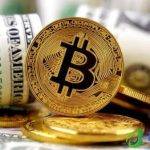 一个兀币可值100美金(100美金等于多少柬埔寨币)