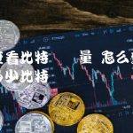 怎么查看自己有多少比特币