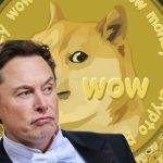 马斯克回应去超级碗现场聊狗狗币！Doge秒涨5%