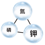 氮磷钾是什么肥料（氮磷钾是什么肥料是磷酸二氢钾吗）