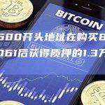 0x0680开头地址在购买BAYC #9061后获得质押的1.3万枚APE
