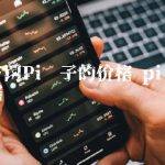 官方网Pi币子的价格