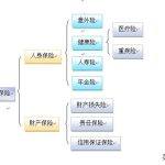保险的产品形态有哪些（保险的产品形态有哪些种类）