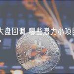 如果大盘回调 哪些潜力小项目值得关注？