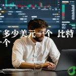 比特币多少美元一个币