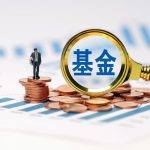 排名前十的股票基金（排名第一的股票基金）