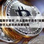 什么是数字货币_什么是数字货币？简要阐述中国数字人民币的发展进展