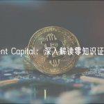 Figment Capital：深入解读零知识证明加速