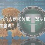 KuCoin杀入孵化领域，想要做行业的“前瞻者”
