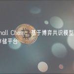 Datamall Chain：基于博弈共识模型的去中心化存储平台