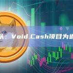 安全团队：Void.Cash项目为退出骗局