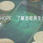 对话 HOPE，了解加密原生分布式稳定币