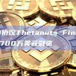DeFi协议Thetanuts Finance完成1700万美元融资
