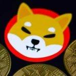 SHIB会不会成为主流币 shib未来前景怎么样