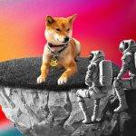 最火热项目Shiba Inu元宇宙公布新进展 SHIB能否借虚拟世界无限狂飙？