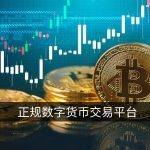 正规数字货币交易平台有哪些(数字货币交易平台有哪些)