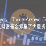 Arthur Hayes：Three Arrows Capital 联创从巴林主权财富基金筹集了大量资金