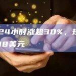 JOE24小时涨超30%，现报价0.498美元