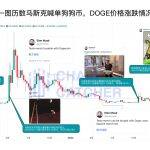 一图历数马斯克公开喊单狗狗币过往