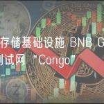 去中心化存储基础设施 BNB Greenfield 已上线测试网“Congo”