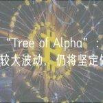 交易员“Tree of Alpha”：尽管市场出现较大波动，仍将坚定做多