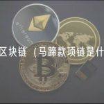 马蹄链区块链（马蹄款项链是什么牌子）