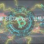 一文了解 BTCDomain：比特币上的域名项目
