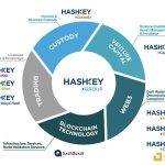 HashKey Group将发布生态积分 一文读懂HSK的权益和分配机制