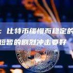 观点：比特币缓慢而稳定的被采用比短暂的剧烈冲击要好