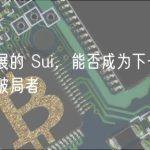 加速发展的 Sui，能否成为下一个 Layer 1 破局者