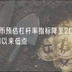 比特币预估杠杆率指标降至2021年12月以来低点