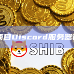STFX项目Discord服务器已被入侵