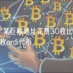 数据：某巨鲸地址花费30枚比特币购入5万枚ordi代币
